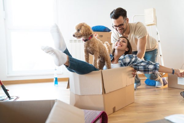 A Woman in a Package Box With a Dog