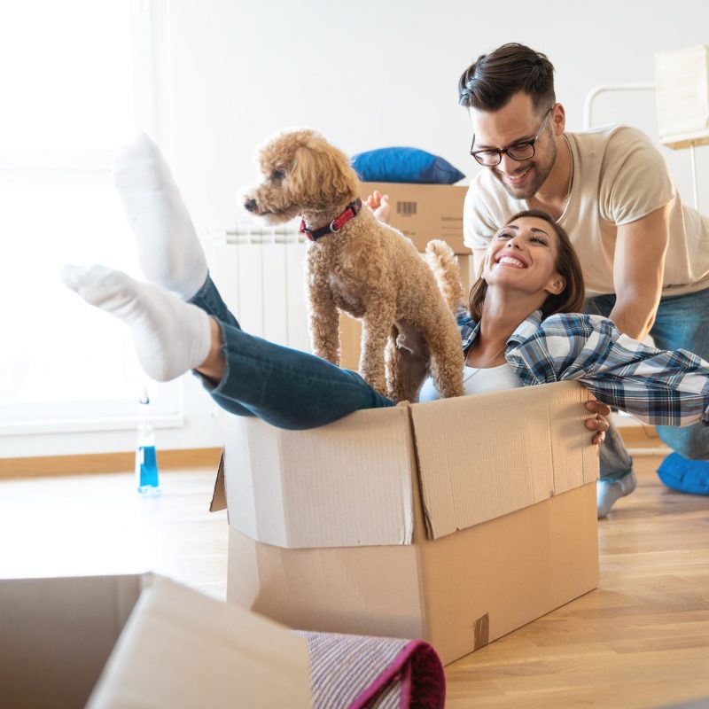 A Woman in a Package Box With a Dog