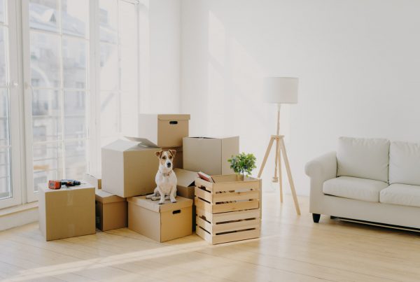 Boxed Filled With Packages for Moving