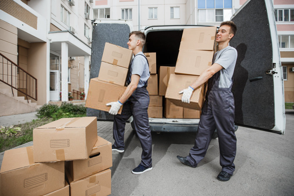 Two Men Holding Boxed for Moving